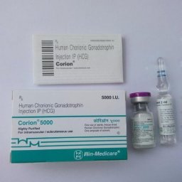 Eli Lilly Humulin R Kit Humulin R Kit