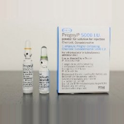 Organon Ilaclari Pregnyl HCG Pregnyl HCG