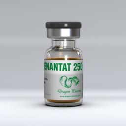 Enanthat 250 - Testosterone Enanthate - Dragon Pharma, Europe