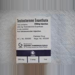Testosteron Geofman 250