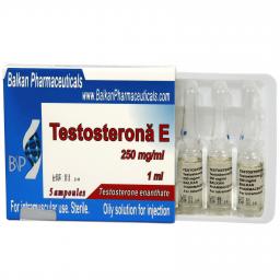 Testosterona E - Testosterone Enanthate - Balkan Pharmaceuticals